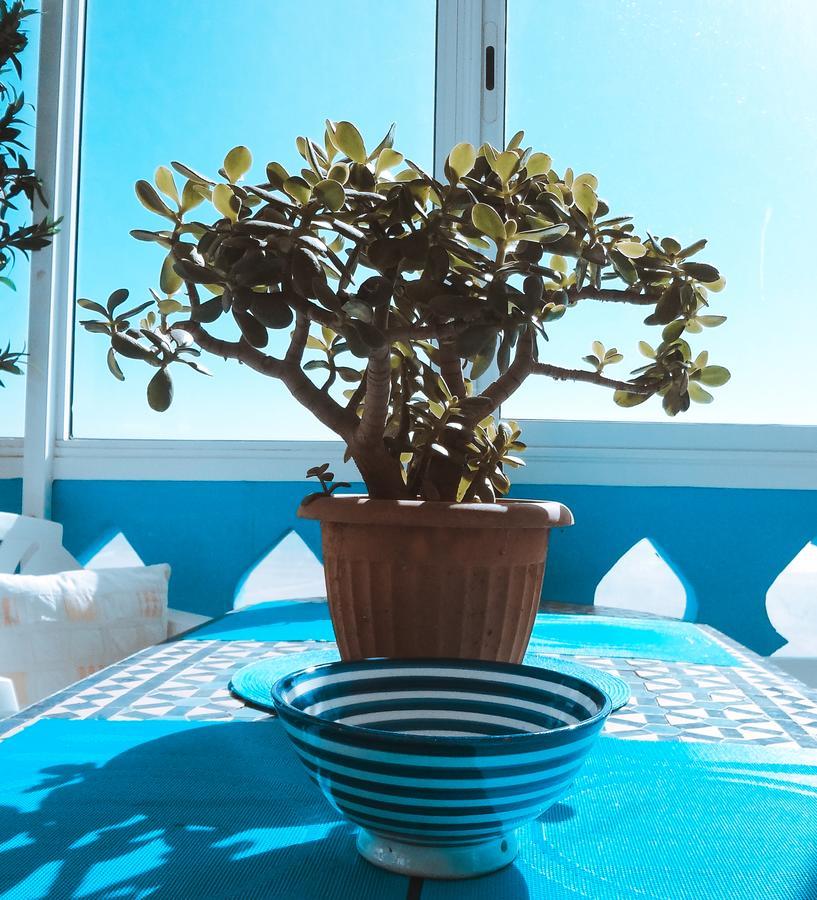 Surf & Yoga Paradise Morocco Tamraght Exterior photo